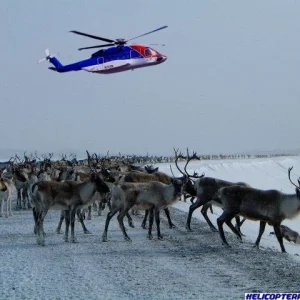 Sikorsky S-92® Helicopter